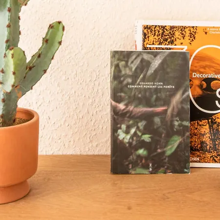 Centre - Le Phoenix - Cathedrale *